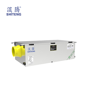 �������(E)ϵ�� GST-T38(E)